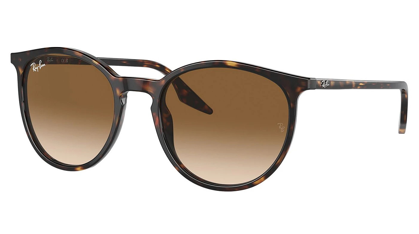 Мужские солнцезащитные очки Ray-Ban RB 2204 902/51 фото 1