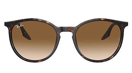 Ray-Ban RB 2204 902/51
