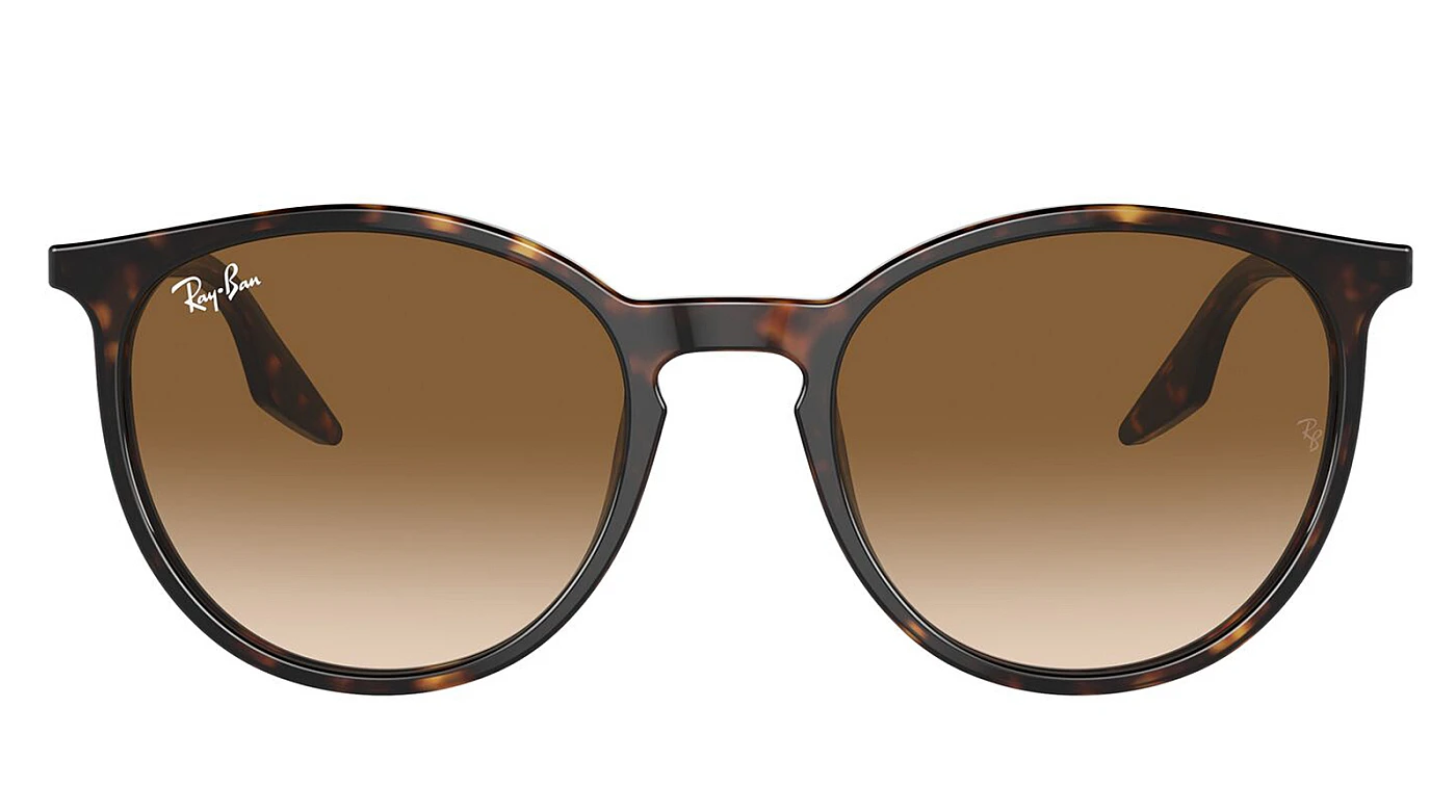 Мужские солнцезащитные очки Ray-Ban RB 2204 902/51 фото 2