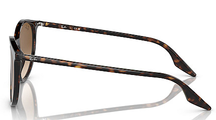 Ray-Ban RB 2204 902/51