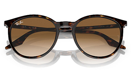 Ray-Ban RB 2204 902/51