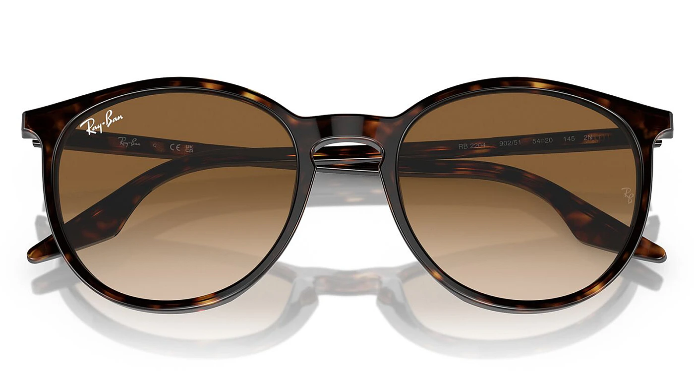 Мужские солнцезащитные очки Ray-Ban RB 2204 902/51 фото 4