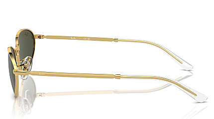 Ray-Ban RB 3734 001/31