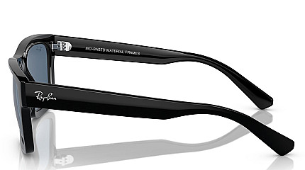 Ray-Ban Warren RB 4396 667780