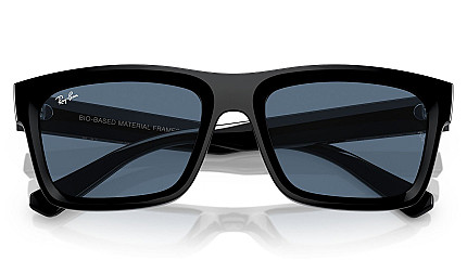 Ray-Ban Warren RB 4396 667780