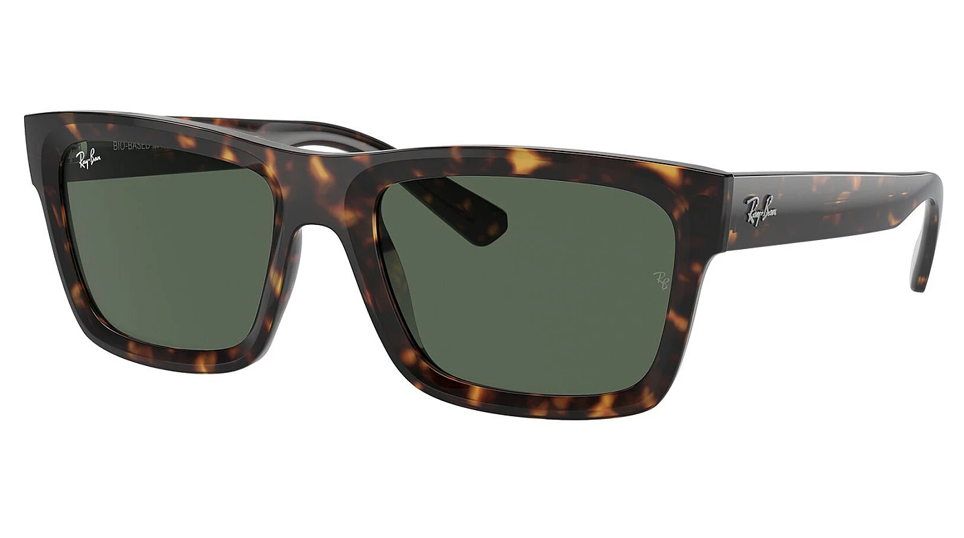 Очки Ray-Ban Warren RB 4396 135971 фото 1