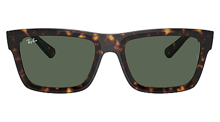 Ray-Ban Warren RB 4396 135971