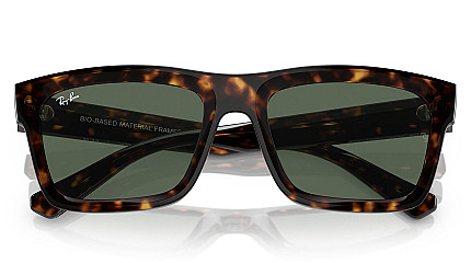 Ray-Ban Warren RB 4396 135971