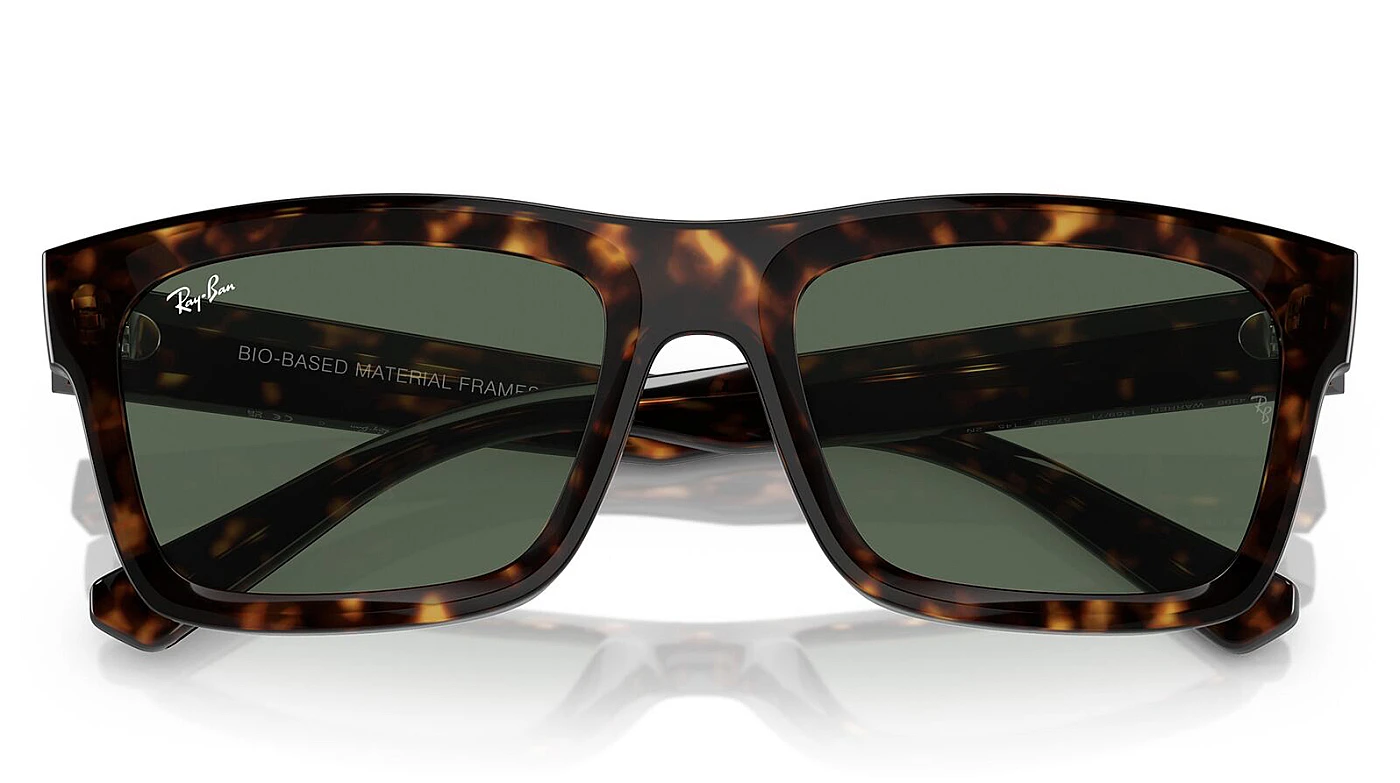 Очки Ray-Ban Warren RB 4396 135971 фото 4