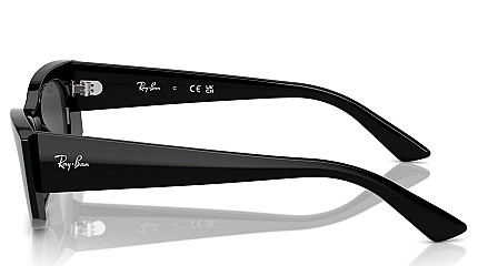 Ray-Ban Kat RB 4427 667787