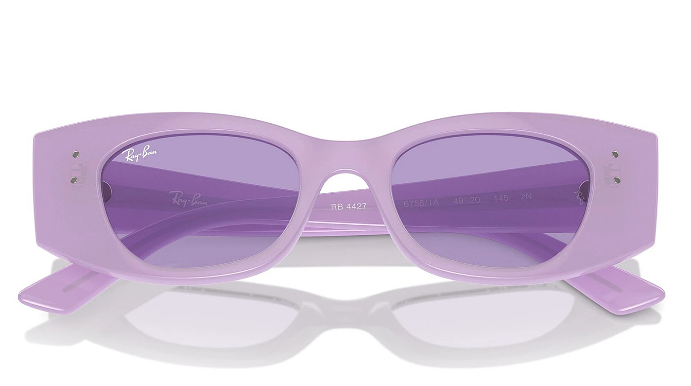 Солнцезащитные очки Ray-Ban Kat RB 4427 67581A фото 4