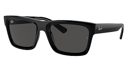 Ray-Ban Warren RB 4396 667787