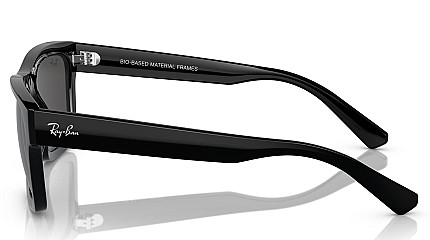 Ray-Ban Warren RB 4396 667787