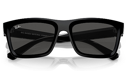 Ray-Ban Warren RB 4396 667787