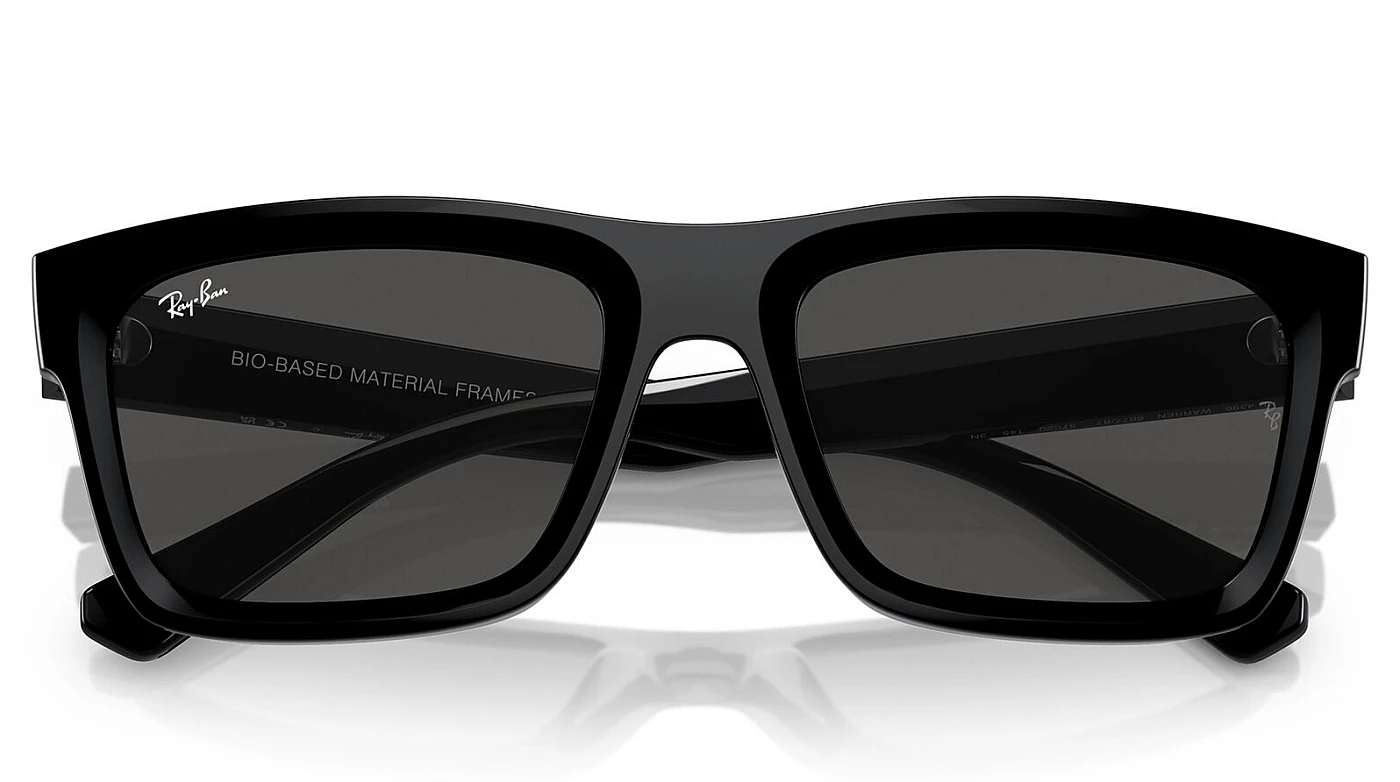 Мужские солнцезащитные очки Ray-Ban Warren RB 4396 667787 фото 4
