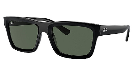 Ray-Ban Warren RB 4396 667771