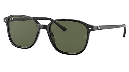 Ray-Ban Leonard RB 2193 901/31