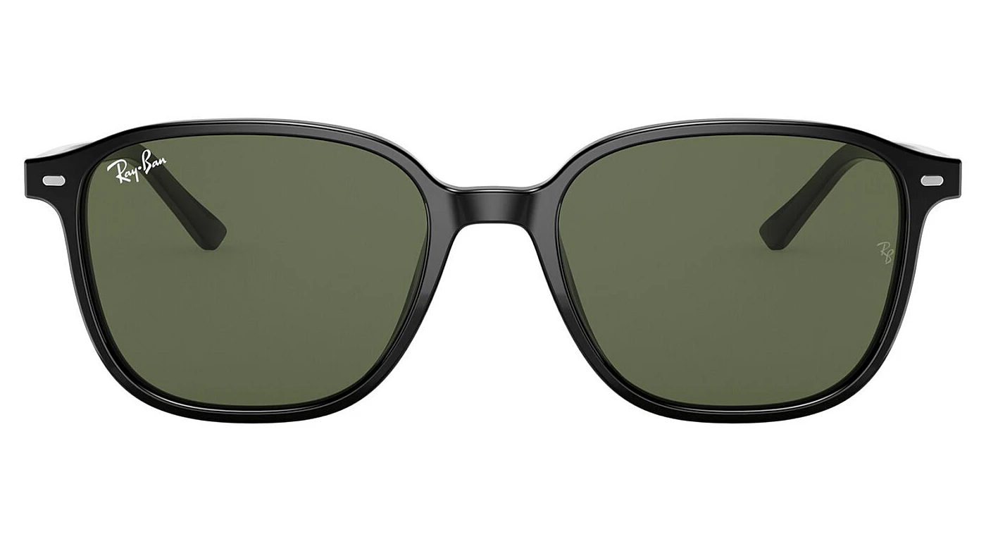Солнцезащитные очки Ray-Ban Leonard RB 2193 901/31 фото 2