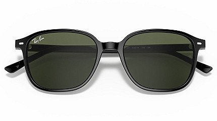 Ray-Ban Leonard RB 2193 901/31