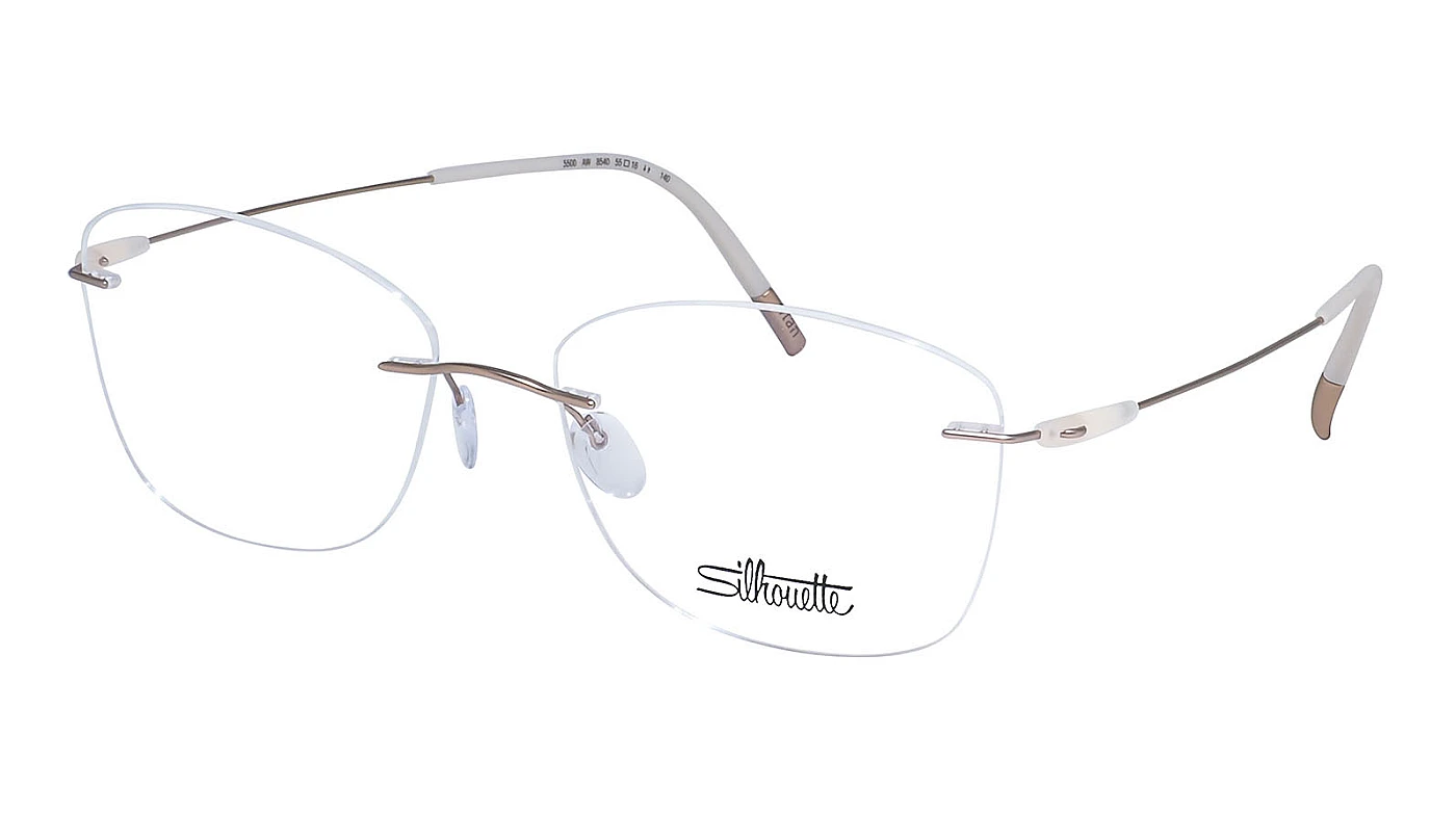 Оправа для очков Silhouette Dynamics Colorwave 5500 AW 8540 фото 1