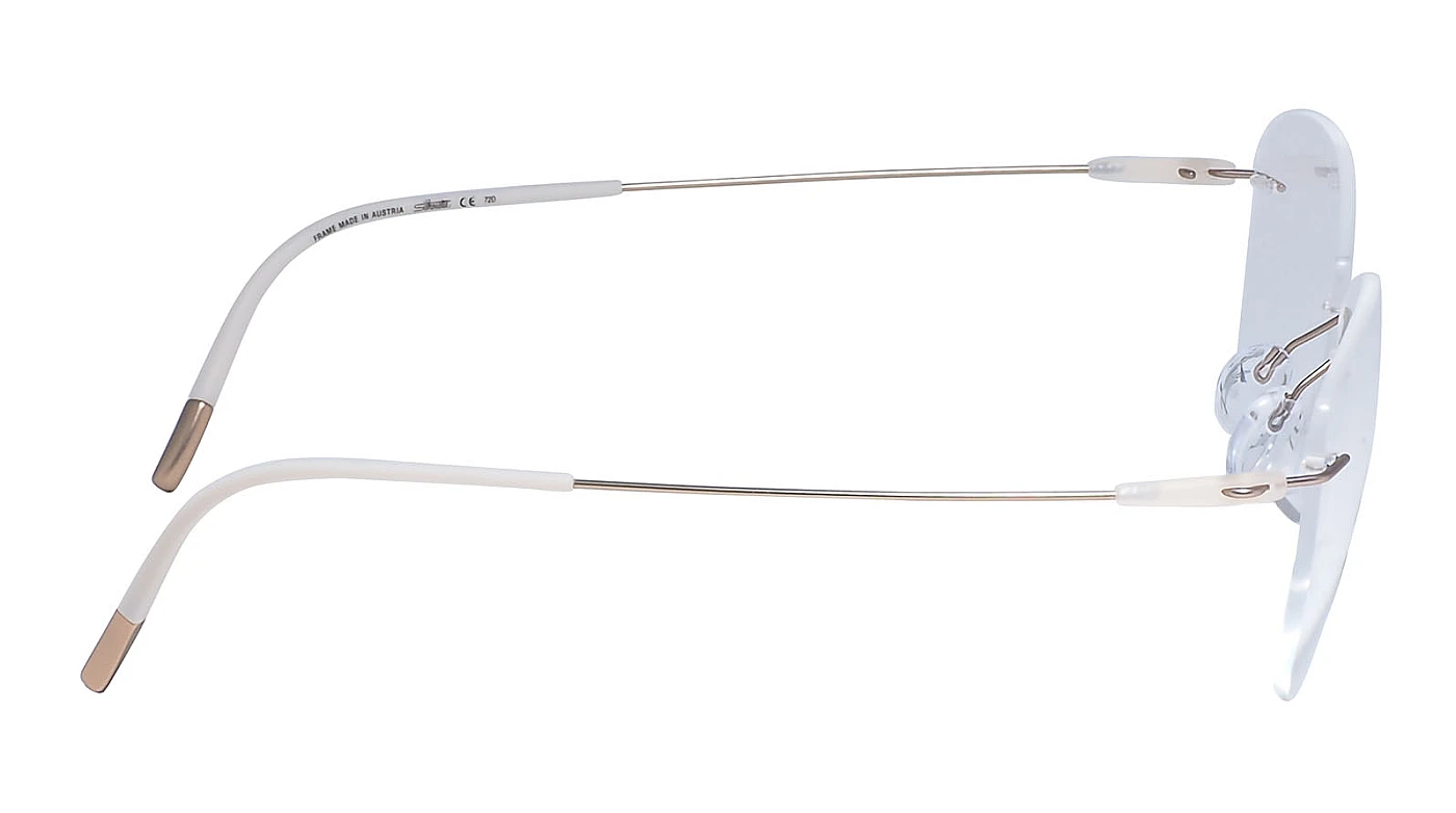 Оправа для очков Silhouette Dynamics Colorwave 5500 AW 8540 фото 3