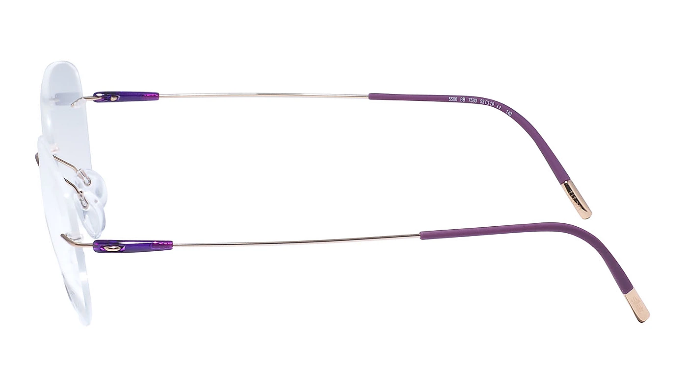Оправа для очков для зрения Silhouette Dynamics Colorwave 5500 BB 7530 фото 4