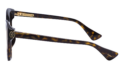 Cartier 0506SA 002