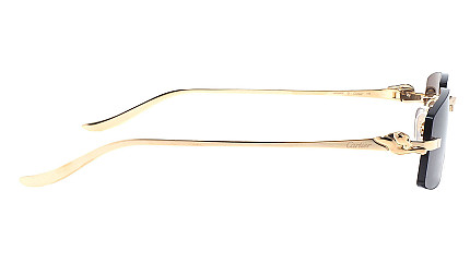 Cartier 0505S 001
