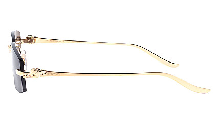 Cartier 0505S 001