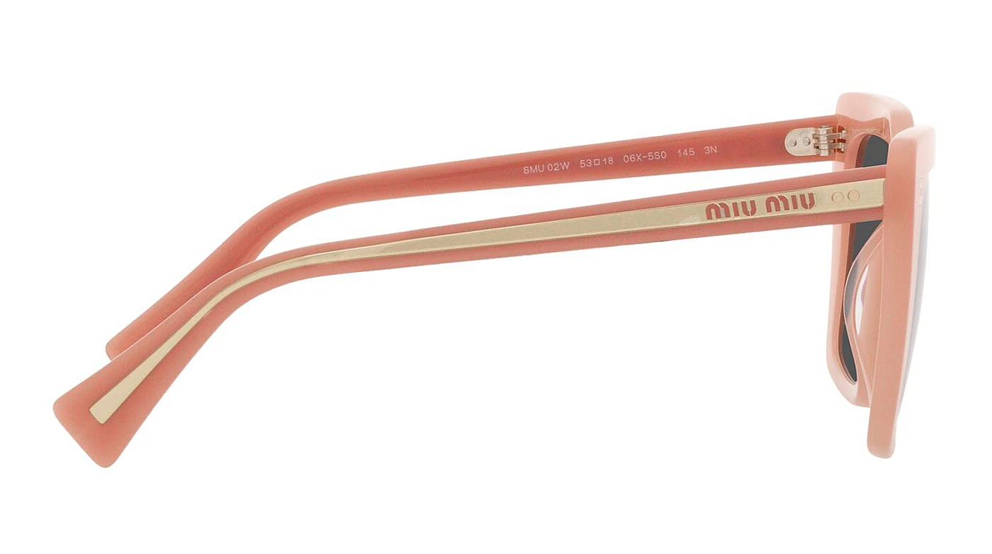 Солнцезащитные очки Miu Miu 02WS 06X5S0 фото 3