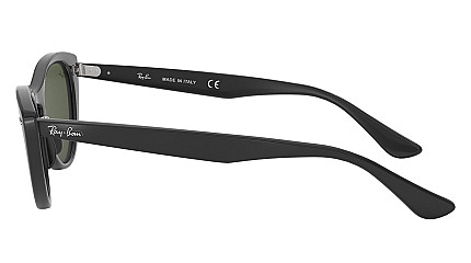 Ray-Ban Nina RB 4314N 601/31