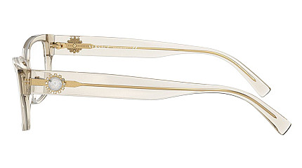Versace 3284B 5288