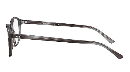 Ray-Ban Leonard RX 5393 8055