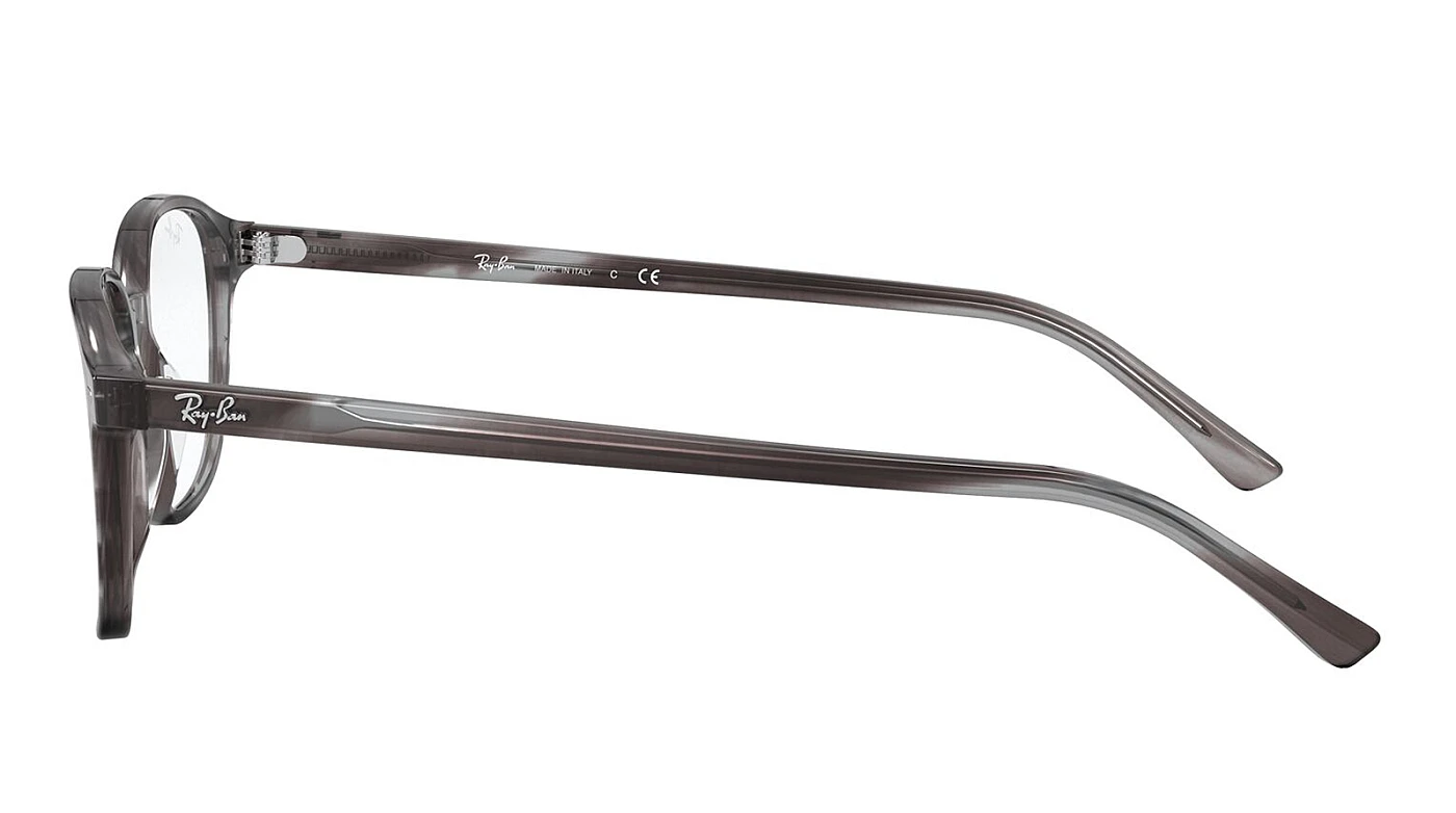 Оправа Ray-Ban Leonard RX 5393 8055 фото 4